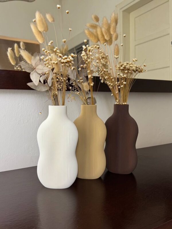 Set Jarrones Elegance